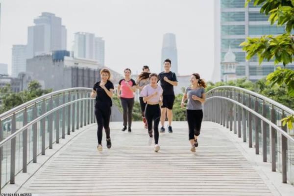 门球属于哪种体育运动？详细解析(图1)